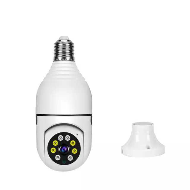 PTZ-bulb-n-lampholder.jpg